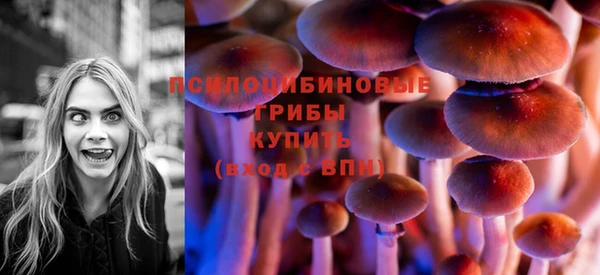 дурь Алексеевка