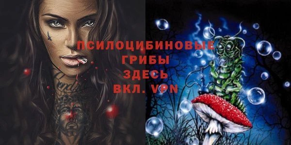 дурь Алексеевка