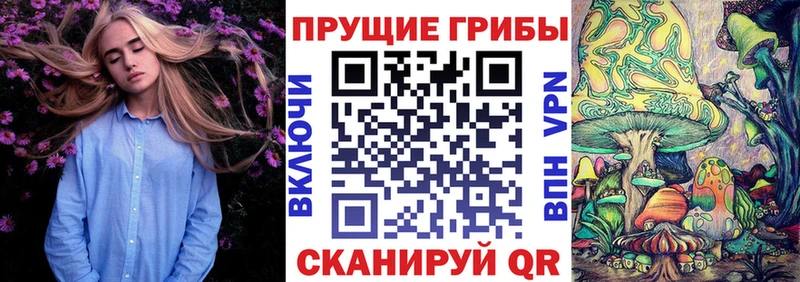 Галлюциногенные грибы Psilocybine cubensis  Вышний Волочёк 
